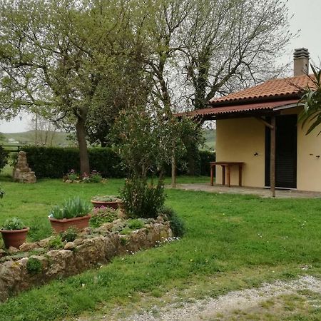 Agriturismo Cavallin Del Papa Capalbio Zewnętrze zdjęcie