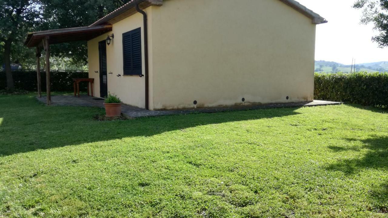 Agriturismo Cavallin Del Papa Capalbio Zewnętrze zdjęcie