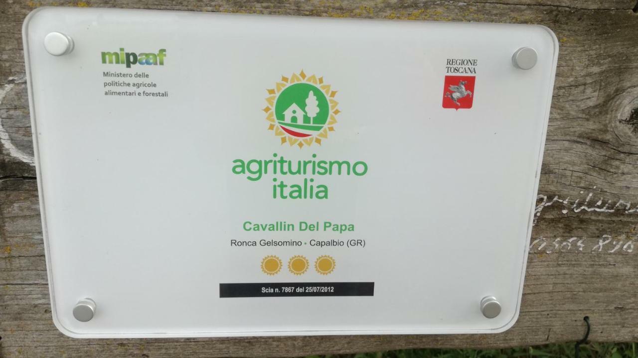Agriturismo Cavallin Del Papa Capalbio Zewnętrze zdjęcie
