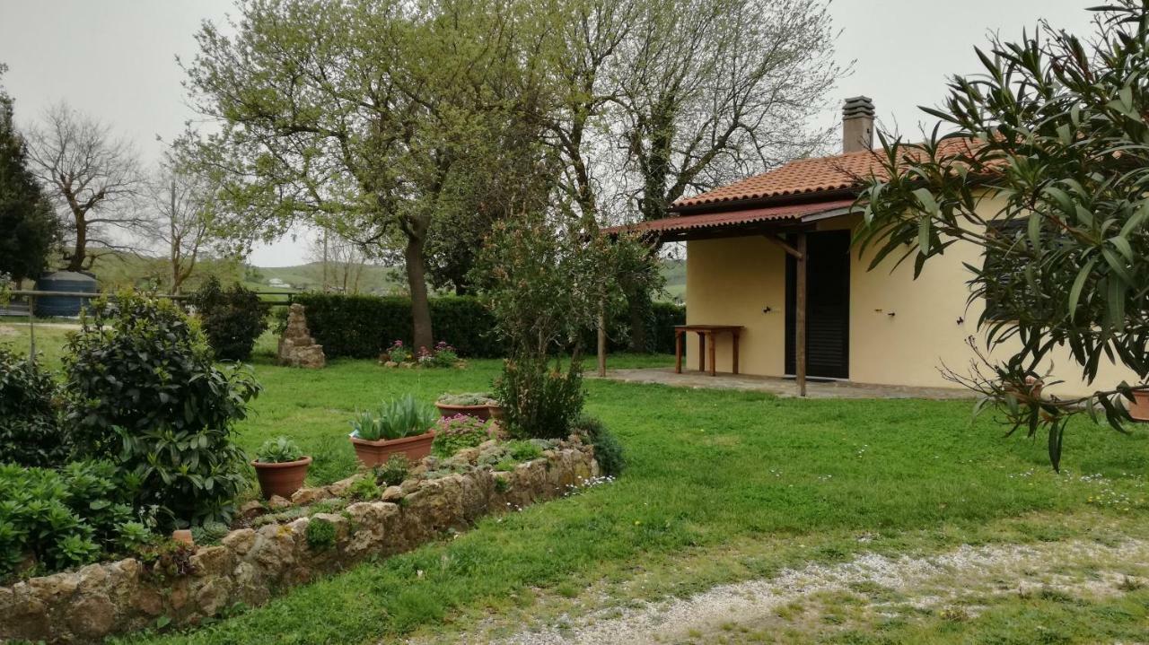 Agriturismo Cavallin Del Papa Capalbio Zewnętrze zdjęcie