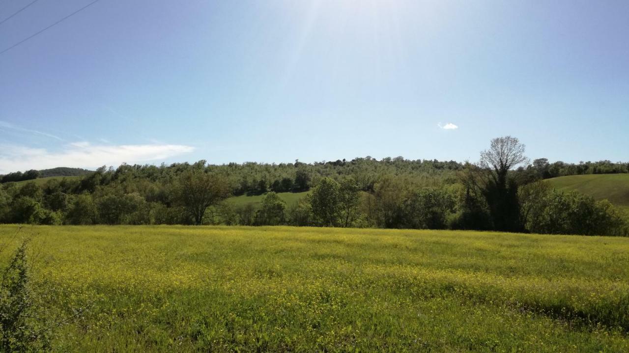 Agriturismo Cavallin Del Papa Capalbio Zewnętrze zdjęcie