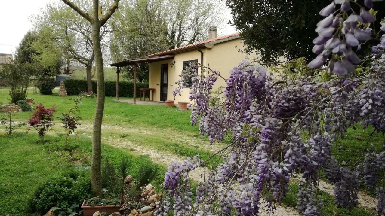 Agriturismo Cavallin Del Papa Capalbio Zewnętrze zdjęcie