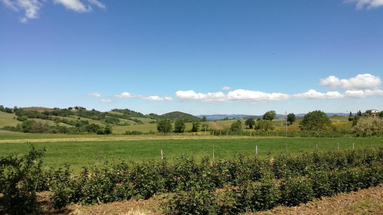 Agriturismo Cavallin Del Papa Capalbio Zewnętrze zdjęcie